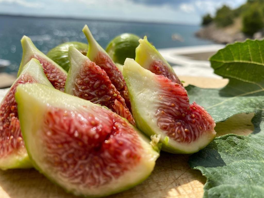 Porat Starigrad-Paklenica